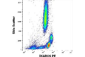 Flow cytometry intracellular staining pattern of human peripheral whole blood stained using anti-Ikaros (4E9) PE antibody (10 μL reagent / 100 μL of peripheral whole blood). (IKZF1 Antikörper  (C-Term) (PE))