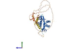 AlphaFold protein structure predicition of Mouse Recombinant Naa30 Protein, UniprotID Q8CES0