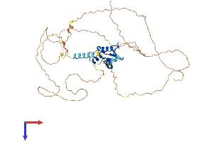 ETV4 Protein (AA 1-484) (His tag)