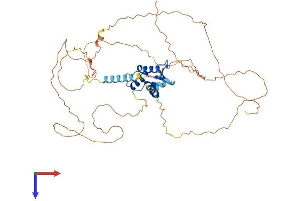 ETV4 Protein (AA 1-484) (His tag)