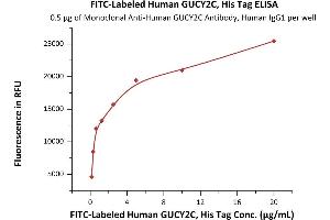 ELISA image for Guanylate Cyclase 2C (Heat Stable Enterotoxin Receptor) (GUCY2C) (AA 24-430) (Active) protein (His tag,FITC) (ABIN6973085)
