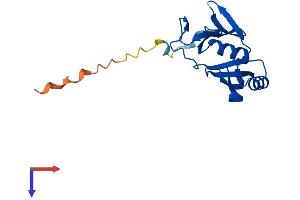 GLOD5 Protein (AA 1-160) (His tag)