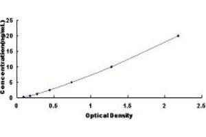 Typical standard curve (FOXA2 ELISA Kit)