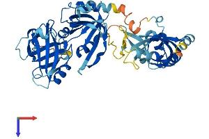MEIOB Protein (AA 1-470) (His tag)