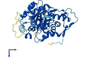 HAO1 Protein (AA 1-370) (His tag)