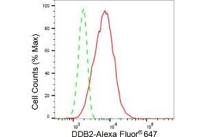 Flow cytometric analysis of DDB2 expression in HT- cells using DDB2 antibody (ABIN7798274), 1:2,000). (Rekombinanter DDB2 Antikörper)
