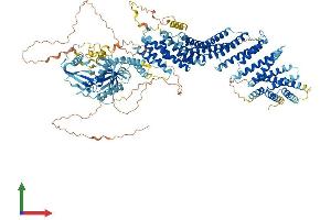 Protein Structure (PS) image for Chromosome 10 Open Reading Frame 137 (C10orf137) (AA 1-1239) protein (His tag) (ABIN7564046)