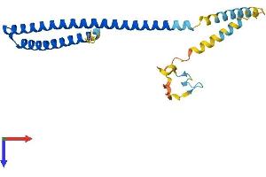 CHMP5 Protein (AA 1-219) (His tag)