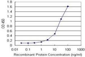 Detection limit for recombinant GST tagged FTL is 1 ng/ml as a capture antibody. (FTL Antikörper)