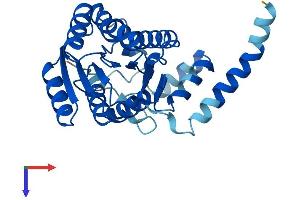 DHRS3 Protein (AA 1-302) (His tag)