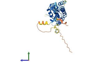 Protein Structure (PS) image for Potassium Channel Tetramerisation Domain Containing 10 (KCTD10) (AA 1-315) protein (His tag) (ABIN7560230)