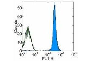 Image no. 1 for anti-CD45 (CD45.1 Allogen) antibody (FITC) (ABIN473707) (CD45.1 Antikörper  (FITC))
