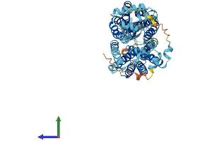 AlphaFold protein structure predicition of Human Recombinant SLC22A3 Protein, UniprotID O75751