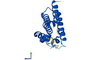 AlphaFold protein structure predicition of Human Recombinant RRN3P1 Protein, UniprotID Q2M238