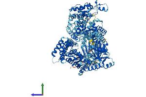 AlphaFold protein structure predicition of Mouse Recombinant Pol Protein, UniprotID P11369 (Pol (AA 1-1281) protein (His tag))
