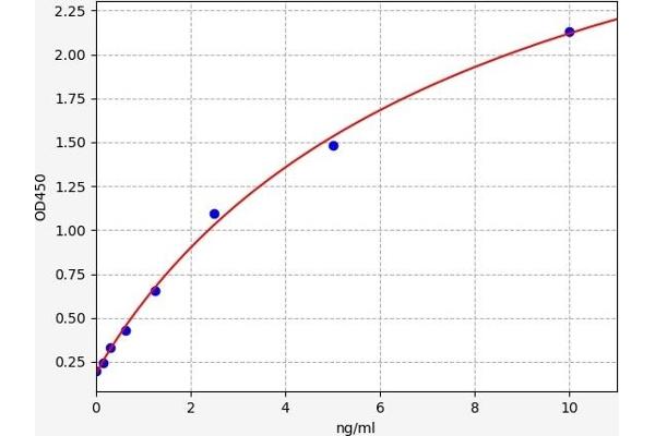 NR1I2 ELISA Kit