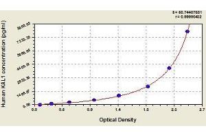 Typical standard curve (KAL1 ELISA Kit)