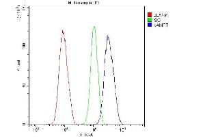 Flow Cytometry analysis of U20S cells using anti-Visfatin antibody (ABIN4886677). (NAMPT Antikörper  (AA 62-337))