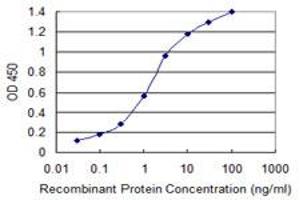 Detection limit for recombinant GST tagged LASS4 is 0. (LASS4 Antikörper  (AA 57-139))