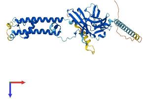 KCNJ8 Protein (AA 1-424) (His tag)