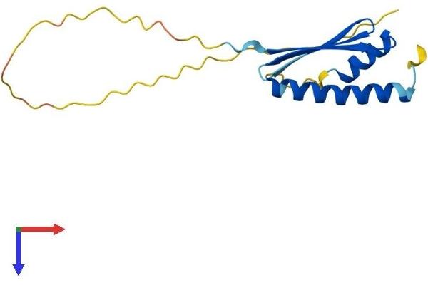 LAGE3 Protein (AA 1-143) (His tag)