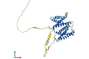 AlphaFold protein structure predicition of Human Recombinant TMEM229A Protein, UniprotID B2RXF0