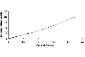 Typical standard curve (Claudin 5 ELISA Kit)