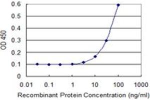 Detection limit for recombinant GST tagged ENAH is 3 ng/ml as a capture antibody. (ENAH Antikörper  (AA 291-390))