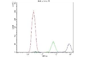 Flow Cytometry analysis of U20S cells using anti-Calpastatin antibody (ABIN4886503). (Calpastatin Antikörper  (Middle Region))