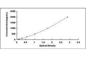 ELISA image for Peroxiredoxin 4 (PRDX4) ELISA Kit (ABIN428710) (Peroxiredoxin 4 ELISA Kit)