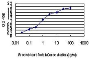 ELISA image for anti-Selenophosphate Synthetase 2 (SEPHS2) (AA 61-151) antibody (ABIN599185) (SEPHS2 Antikörper  (AA 61-151))