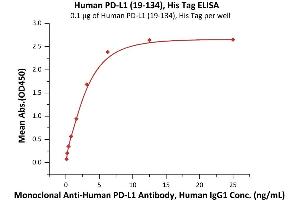 Immobilized Human PD-L1 (19-134), His Tag (ABIN6973193) at 1 μg/mL (100 μL/well) can bind Monoclonal A PD-L1 Antibody, Human IgG1 with a linear range of 0.