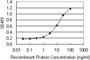 Detection limit for recombinant GST tagged EXOSC5 is 0. (EXOSC5 Antikörper  (AA 1-235))