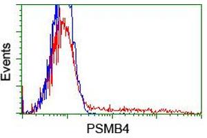 Flow Cytometry (FACS) image for anti-Proteasome (Prosome, Macropain) Subunit, beta Type, 4 (PSMB4) antibody (ABIN1500473) (PSMB4 Antikörper)