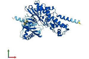 Protein Structure (PS) image for Glucokinase (Hexokinase 4) (GCK) (AA 1-465) protein (His tag) (ABIN7548459)