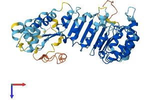 AlphaFold protein structure predicition of Human Recombinant PRAMEF2 Protein, UniprotID O60811