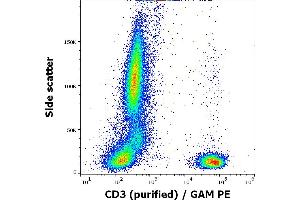 Flow cytometry surface staining pattern of human peripheral blood stained using anti-human CD3 (MEM-92) purified antibody (concentration in sample 5 μg/mL, GAM PE).