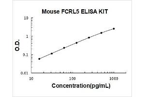 Fc Receptor-Like 5 (FCRL5) ELISA Kit