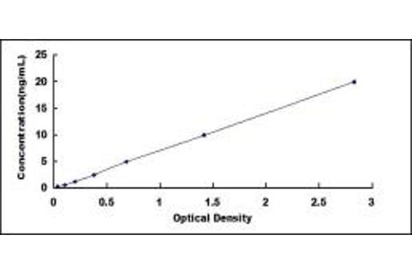 PLA2G6 ELISA Kit