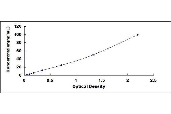 CPN2 ELISA Kit