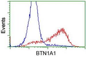 Flow Cytometry (FACS) image for anti-Butyrophilin, Subfamily 1, Member A1 (BTN1A1) antibody (ABIN1496986) (BTN1A1 Antikörper)