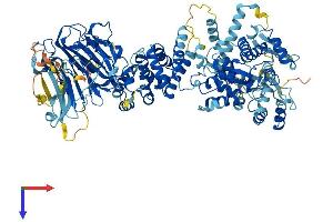 HERC6 Protein (AA 1-1003) (His tag)