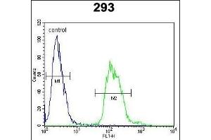 TAC1 Antibody (C-term) (ABIN652053 and ABIN2840522) flow cytometric analysis of 293 cells (right histogram) compared to a negative control cell (left histogram). (TAC1 Antikörper  (C-Term))