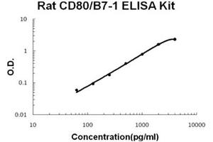 Rat CD80/B7-1 Accusignal ELISA Kit Rat CD80/B7-1 AccuSignal ELISA Kit standard curve.