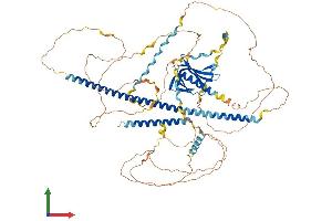 Protein Structure (PS) image for Enabled Homolog (ENAH) (AA 1-802) protein (His tag) (ABIN7563587)