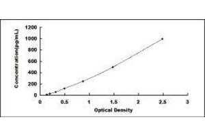 Chemokine (C-C Motif) Ligand 24 (CCL24) ELISA Kit