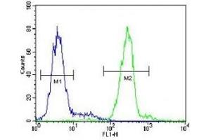 VDAC antibody flow cytometric analysis of HepG2 cells (green) compared to a negative control (blue). (VDAC1 Antikörper  (AA 1-30))