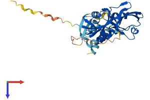 GIPC3 Protein (AA 1-297) (His tag)