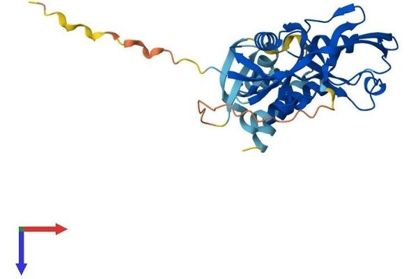 GIPC3 Protein (AA 1-297) (His tag)