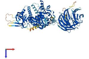 NSMAF Protein (AA 1-917) (His tag)